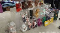 Full view of Beanie Babies in clear plastic cases and some in tag protectors, arranged on surface.