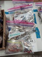 Plastic Ziploc bags containing assorted necklaces labeled 'Lot 43 Necklaces'. Variety of bead and chain necklace styles visible inside the sealed bags.