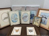 Overview of all nine framed wildlife pictures laid out together including raccoon, wolf, bear, puffin, deer, and two small mammals.