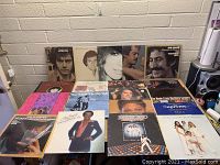 Front view of 17 vinyl records arranged on a table showing album covers including Neil Diamond and Jim Croce.