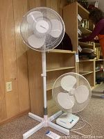 Full view of two white house fans, one tall pedestal fan and one smaller desk fan in a basement room with wood paneling and shelving.