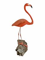 Front and side views of hand carved and painted flamingo decoy on driftwood base