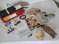 Full overview of the rotary rock tumbler, mineral specimens, driftwood, quartz, and petrified wood pieces on display surface