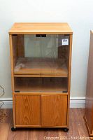 Front view of the teak media cabinet with closed glass and wood doors, showing overall design and wood grain.
