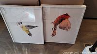 Two bird art prints, Northern Cardinal and Warbler, shown standing side by side on floor showing complete framing and artwork details