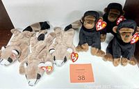 Six Beanie Baby plush toys including three Ringo Raccoons and three Congo Monkeys, brand new with tags.