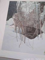Close-up of wolf and snowy landscape, focusing on subject and print detail
