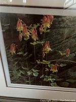 Close-up on columbine flowers in the framed print with dark textured background