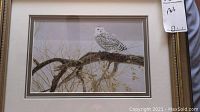 Framed print featuring a snowy owl on a bare branch against a pale background, artist Robert Bateman, glass-covered, gold-toned frame with cream matting with brown and gold border.