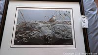 Front image showing the framed print of the bird on a log with visible artist signature and edition number.