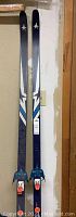 Full view of the pair of cross country skis leaning against wall, showing top graphics and length.