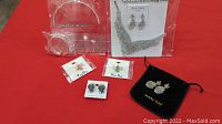 Photo of all jewelry items together on red background showing necklace, earrings, pins, bangles, and headband in Mary Kay pouch