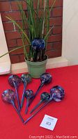 Eight colorful glass plant watering bulbs laid out on a red surface next to a potted plant showing size and use context