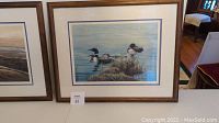 Framed and matted print depicting Loon Family by Luis Calvert, 1991, measuring 12" x 17" with frame 21" x 26".