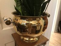 Front and side view of large brass planter with plant inside showing overall shape and base