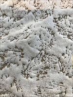 Close-up of cream suede surface with coffee-colored leaf imprints showing texture and pattern detail