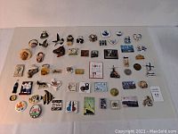Full display of about 50 assorted collectible fridge magnets of various shapes, colors, and themes laid on a white background.