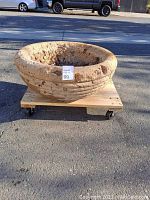 Side angled view of the large round concrete garden pot on a wooden dolly platform outdoors.