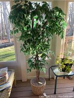 Artificial tree approx. 72 inches tall with variegated leaves and woven basket planter near window.