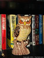 Front view of the ceramic owl showing detailed feather design and tree stump base among books.