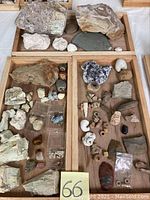 Overview of multiple mineral rocks and fossil items organized in wooden trays.