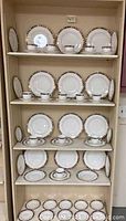 Full shelving display showing all plates and cups