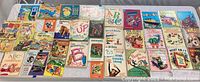 Photo showing a collection of 28 vintage children's storybooks with colorful covers laid out on a table.