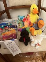 Photo showing 5 loose and 3 large Beanie Babies with 12 new-in-bag tiny Beanie Babies on a chair.