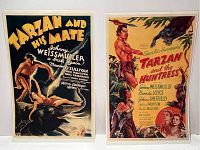 Both Tarzan movie posters side by side showing artwork and title text clearly.
