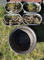 Top view of four rectangular metal flower pots and one large round flower pot on grass, with plant debris and soil inside the pots.