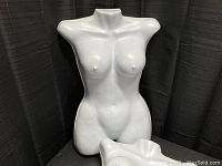 Single female torso form standing upright showing front view with defined breast and torso details.