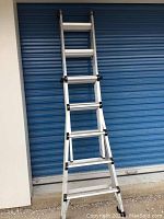 Full view of ladder in extended configuration leaning against metal door