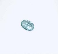 Clear oval cut emerald gemstone on a white background showing internal characteristics and facet cut.