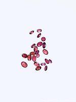 22 oval cut rhodolite garnet gemstones scattered on white background showing color and size variety