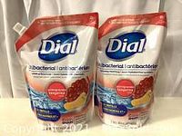 Two front-facing refill pouches of Dial antibacterial hydrating hand soap showing brand and product information.