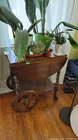 Full front view of a wooden tea cart with plants on top, showing large wooden wheels on the back and smaller caster wheels on the front