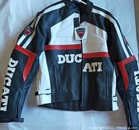 Front view showing color blocking, Ducati branding, patches, collar tag, zippered pockets, and adjustable waist straps.