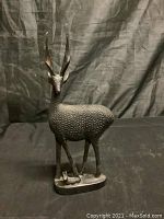 Front view of metal antelope statue showing textured body and antlers