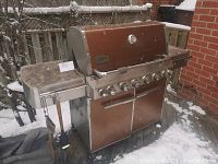 Angled front view of barbecue grill showing hood, control knobs, side shelves and lower cabinet