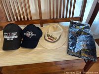Photo showing all items in the lot: two baseball caps, a beige Rainforest Cafe canvas hat, a keychain in plastic packaging, and a folded blue alpaca scarf with tags.