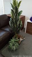Full view showing tall leafy faux plant and spider plant in pots on floor next to furniture.