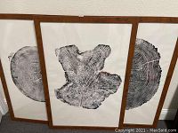 Set of three framed prints leaning against wall, showing black and white tree ring artwork with natural wooden frames.