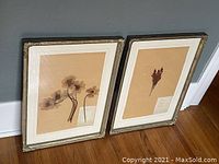 Two vintage style glass-covered frames with pressed flowers against a wall with wooden floor