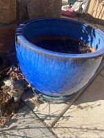 Large glossy blue ceramic pot with handles shown outdoors on concrete beside a stone wall.
