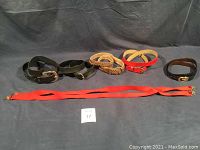 Image displaying five ladies' belts varying in color and style laid out horizontally with a pair of red suspenders below them.