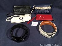 Full lot image showing all bags and belts arranged on dark fabric background.