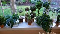 Wide view of multiple faux plants arranged on a window sill showing variety of foliage and pot types