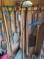 Photo showing a variety of garden tools hung on wooden shed wall, including shovels, pitchforks, hoes, rakes, cultivator tool.