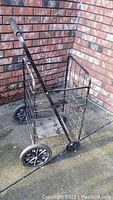 Full view showing the metal wire basket and large black wheels, handle with padded grip visible