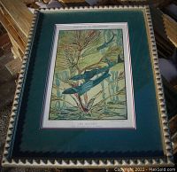 Framed vintage lithograph 'Les Algues' under glass with decorative border and green mat, showing overall condition and framing details.